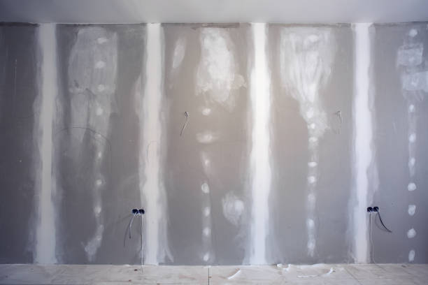 Best Black Mold Removal  in USA